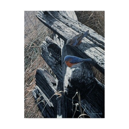 Trademark Fine Art Ron Parker 'Bluebirds On Rail Fence' Canvas Art, 14x19 ALI32388-C1419GG